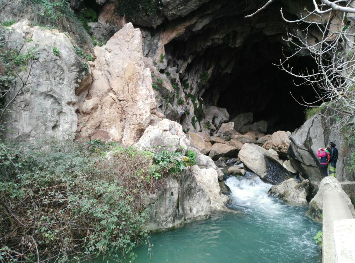 Casa Rural Las Rosas De Benaoján エクステリア 写真