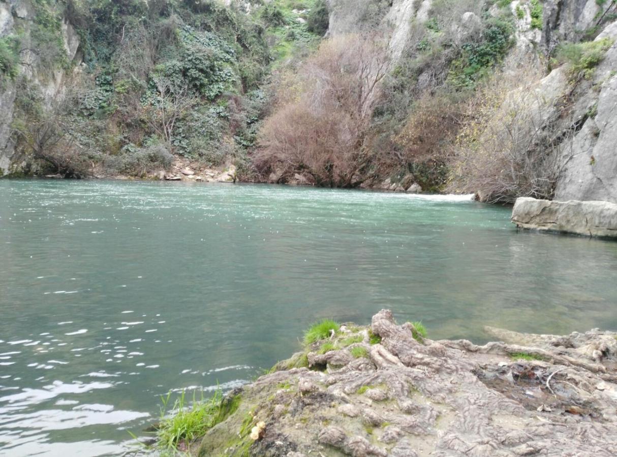 Casa Rural Las Rosas De Benaoján エクステリア 写真