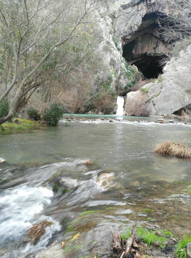 Casa Rural Las Rosas De Benaoján エクステリア 写真