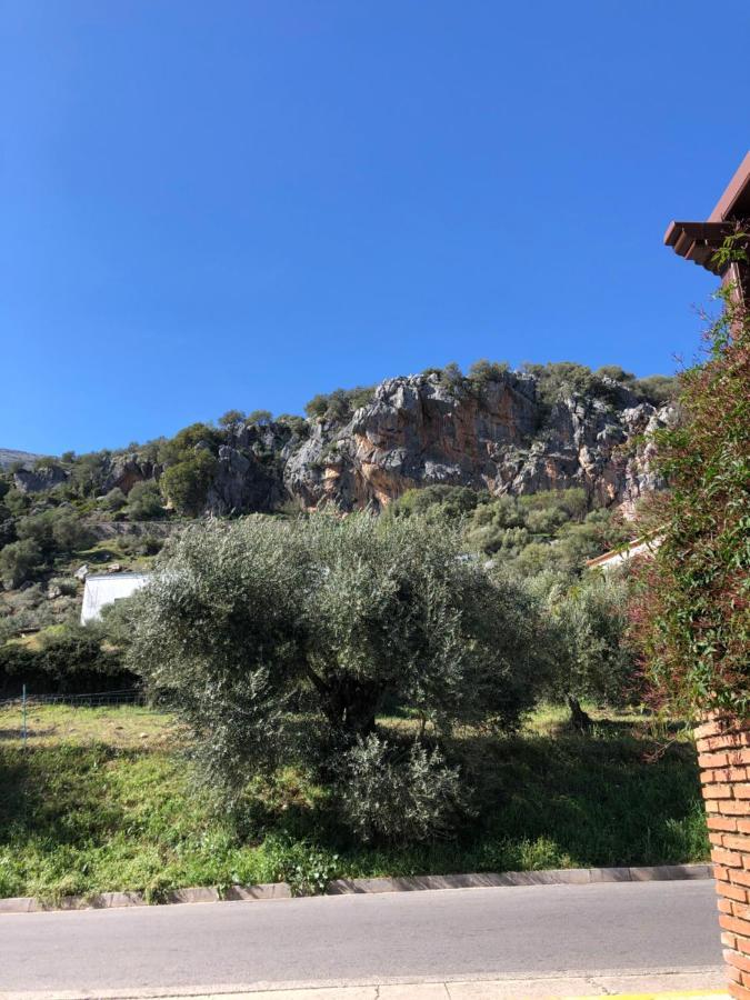 Casa Rural Las Rosas De Benaoján エクステリア 写真