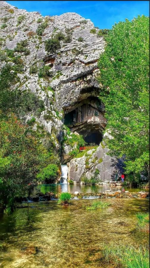 Casa Rural Las Rosas De Benaoján エクステリア 写真